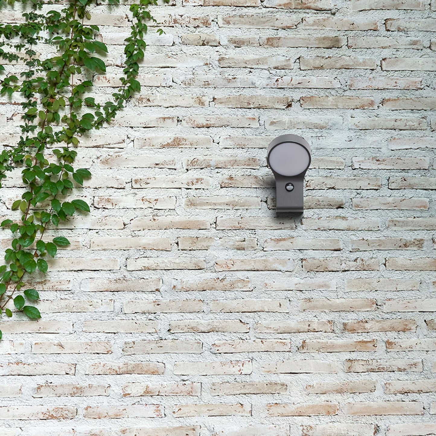 RENDL outdoor lamp ELIA PIR wall anthracite grey 230V LED 9W IP44 3000K R13931 2