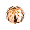 decorativo