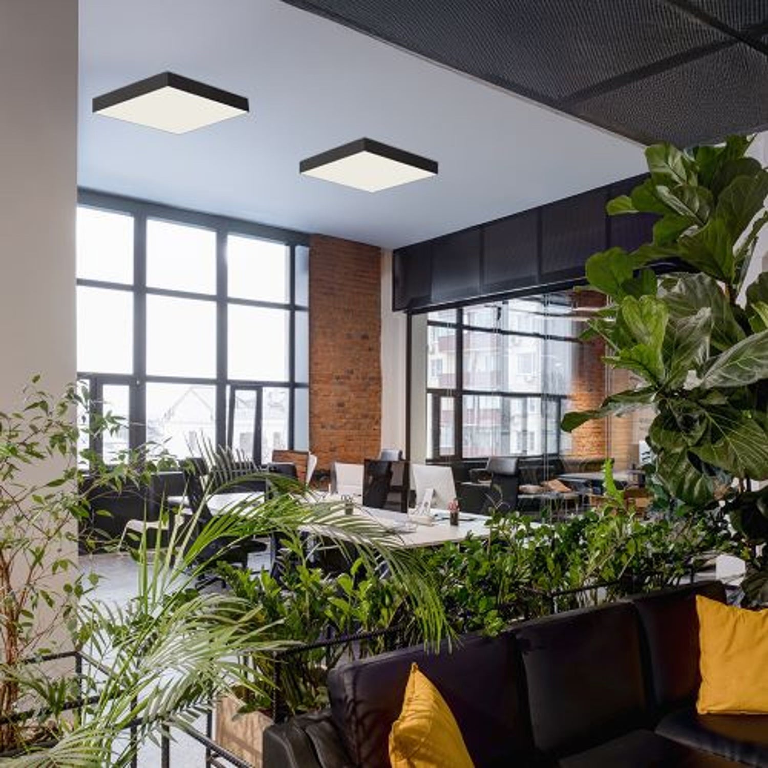 Candeeiros de teto de sala