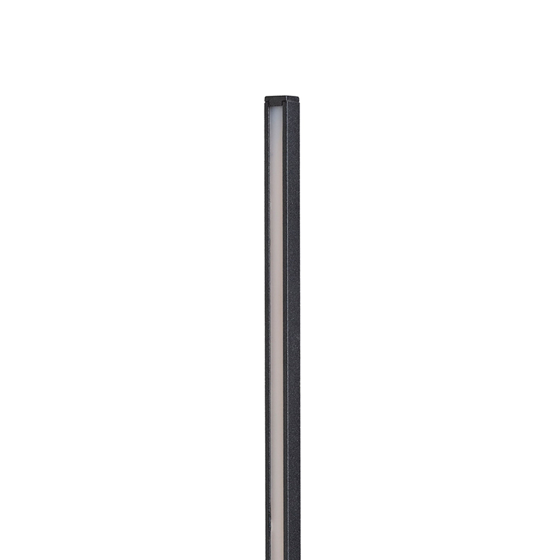 RENDL floor lamp ANEMONA 120 floor black 230V LED 15W 3000K R14184 7